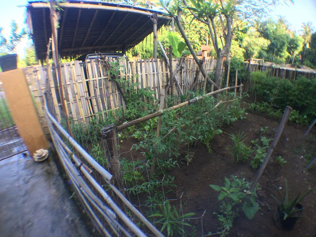 Jeges Privatunterkunft Senggigi